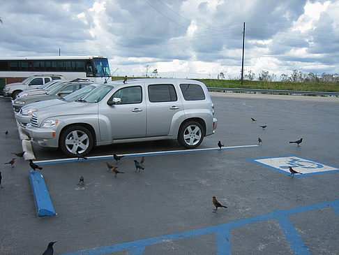 Parkplatz Foto 