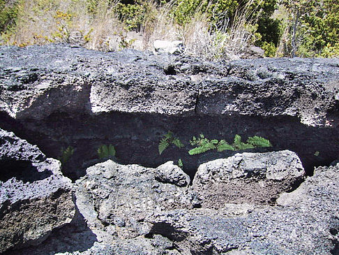 Fotos Erstarrte Lava