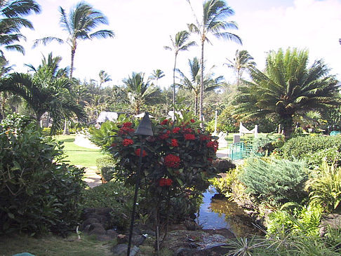 Gärten auf Kauai