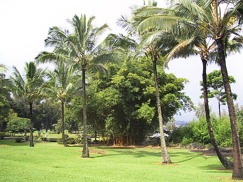 Hawaiis Straßenränder
