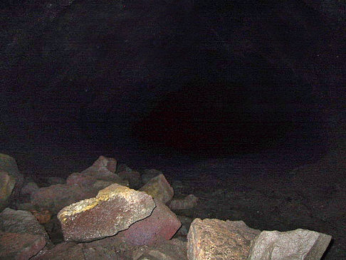 Höhlen in Hawaiis Wäldern Fotos