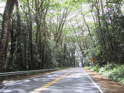 Foto Straßen auf Hawaii