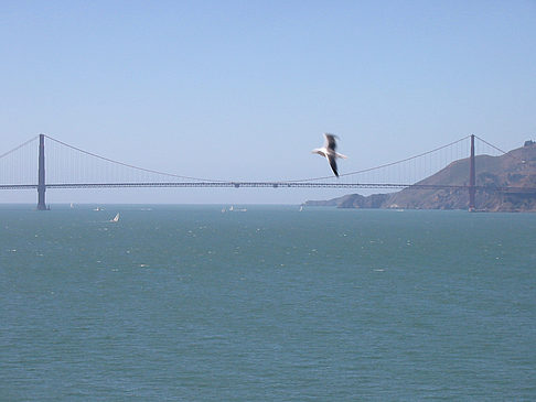 Golden Gate Bridge