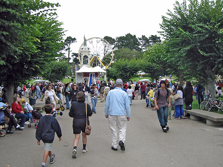 Fotos Golden Gate Park mit Botanischen Garten | San Francisco